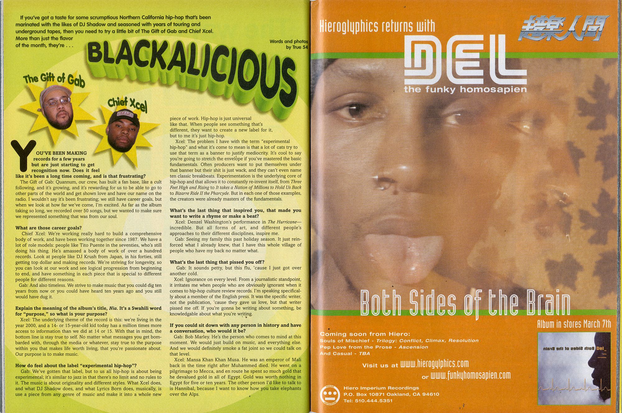 Page 61