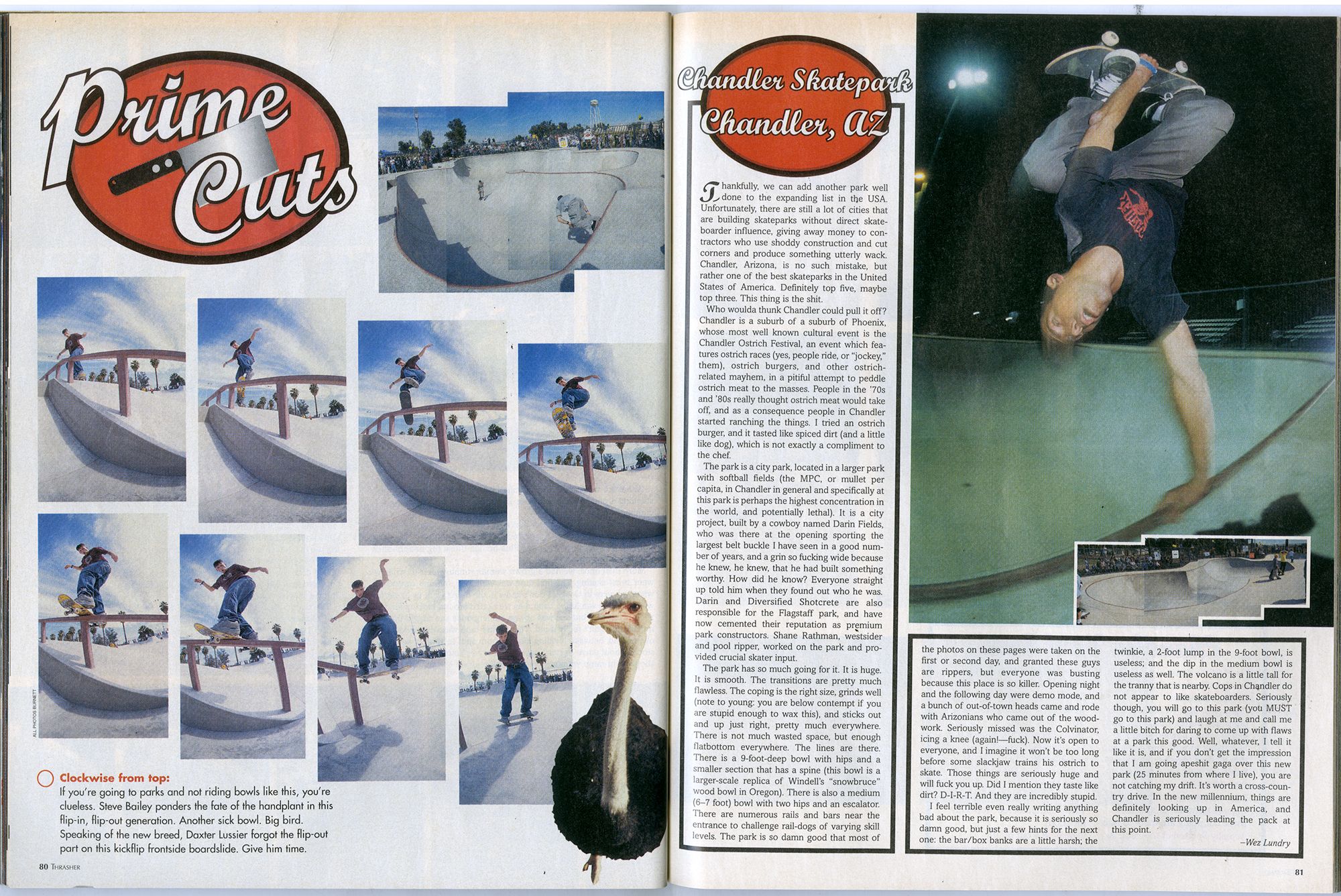 Page 41